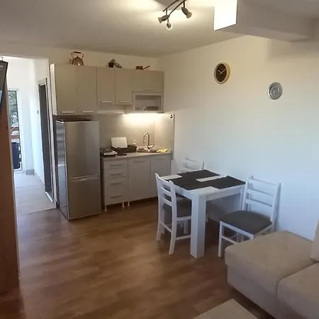 Narcis Polje Divčibare