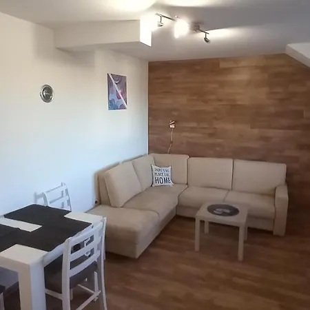 Narcis Polje 3 Divcibare