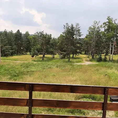 Narcis Polje Daire *