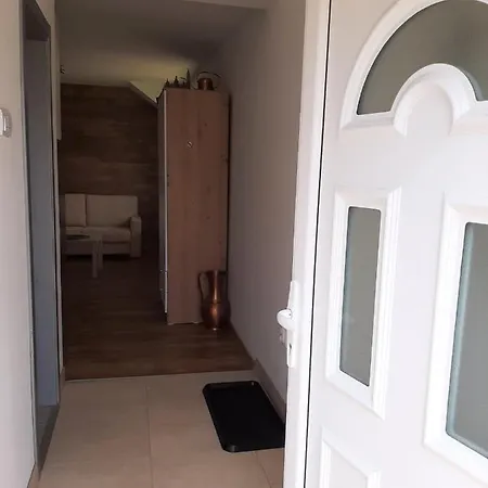 Daire Narcis Polje *