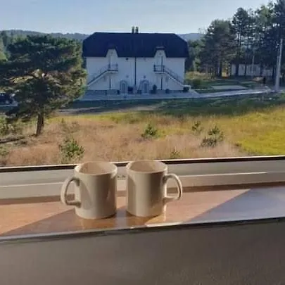 Narcis Polje 3 Divcibare