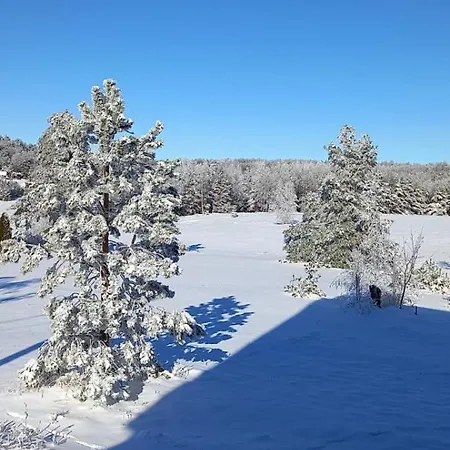 Daire Narcis Polje *