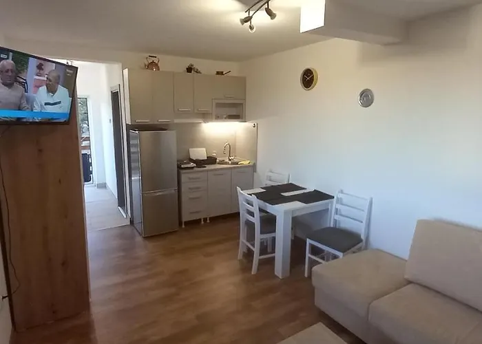 Narcis Polje Divčibare