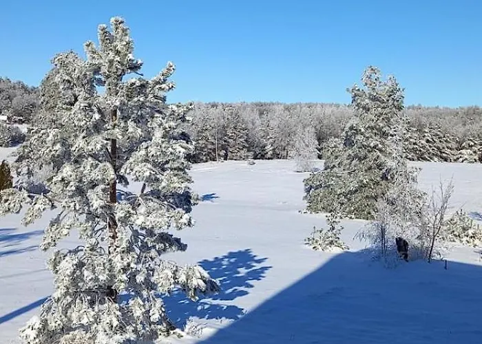 아파트 Narcis Polje *